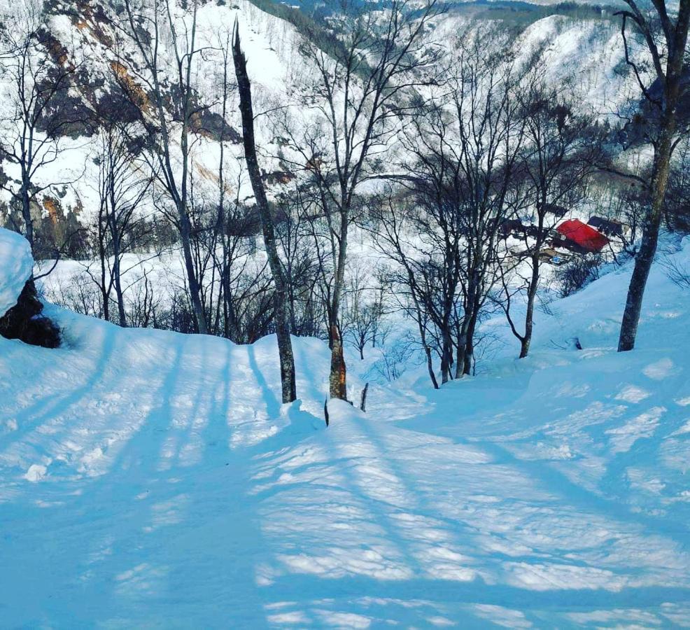 Tsubame Highland Lodge燕ハイランドロッジ * Myoko